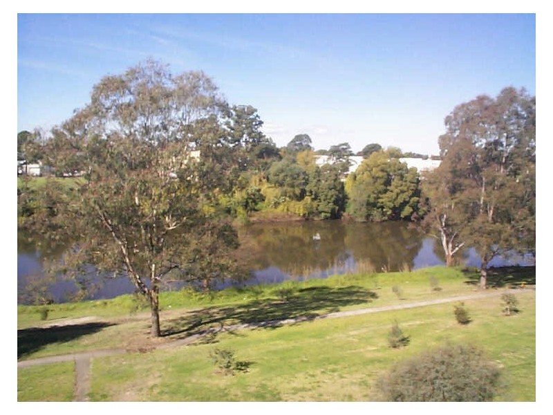 Riverpark Drive, Liverpool NSW 2170