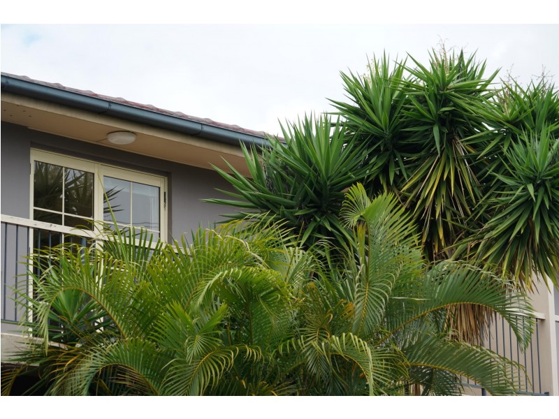 6/767 Sandgate Road, Clayfield QLD 4011