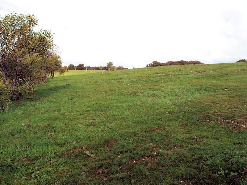 Lot 6 Sailors Gully Court, Heathcote VIC 3523
