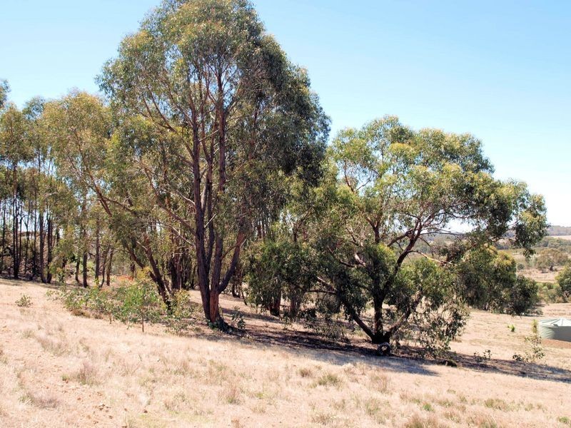 210 Hall Road, Heathcote VIC 3523