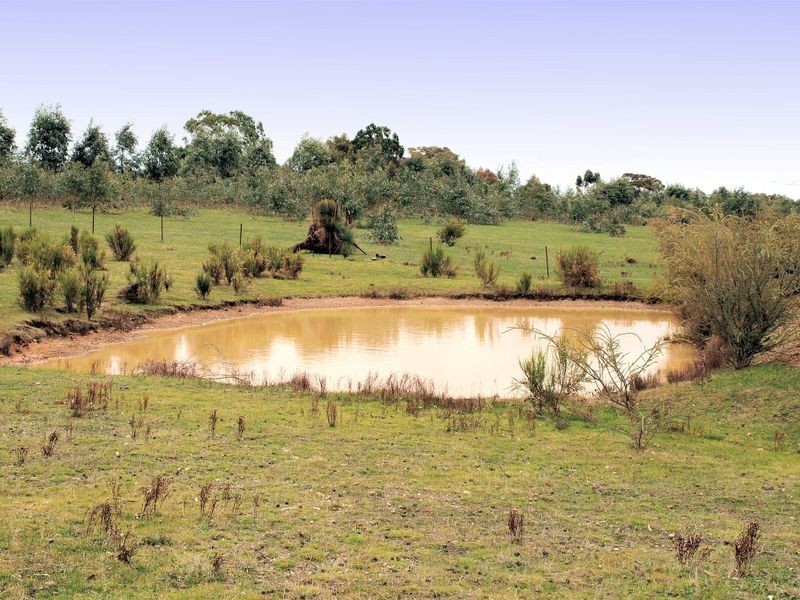 88 Hylands Lane, Heathcote VIC 3523