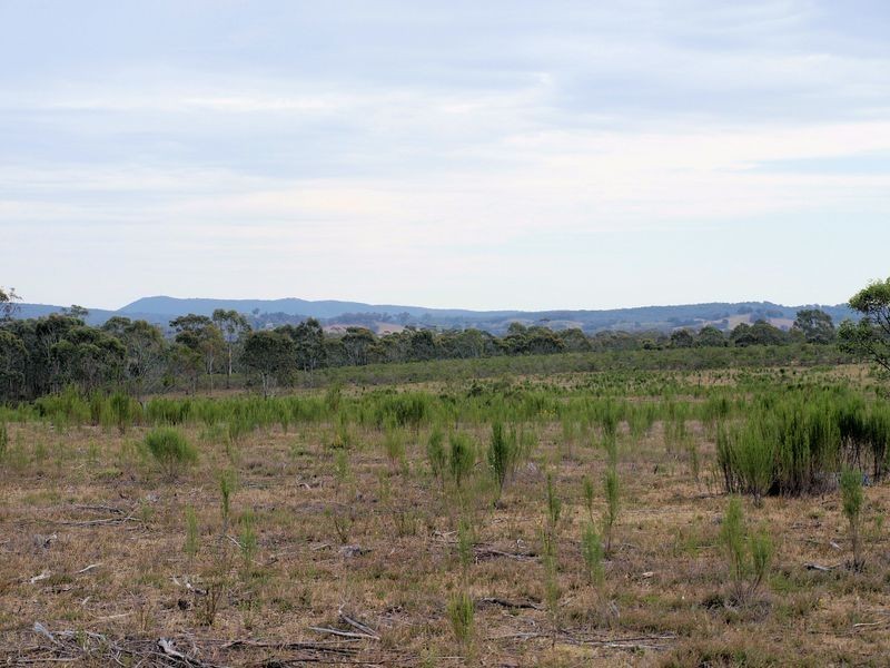Lot 6 Warrowitue-Forest Rd, Heathcote VIC 3523
