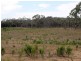 Lot 6 Warrowitue-Forest Rd, Heathcote VIC 3523