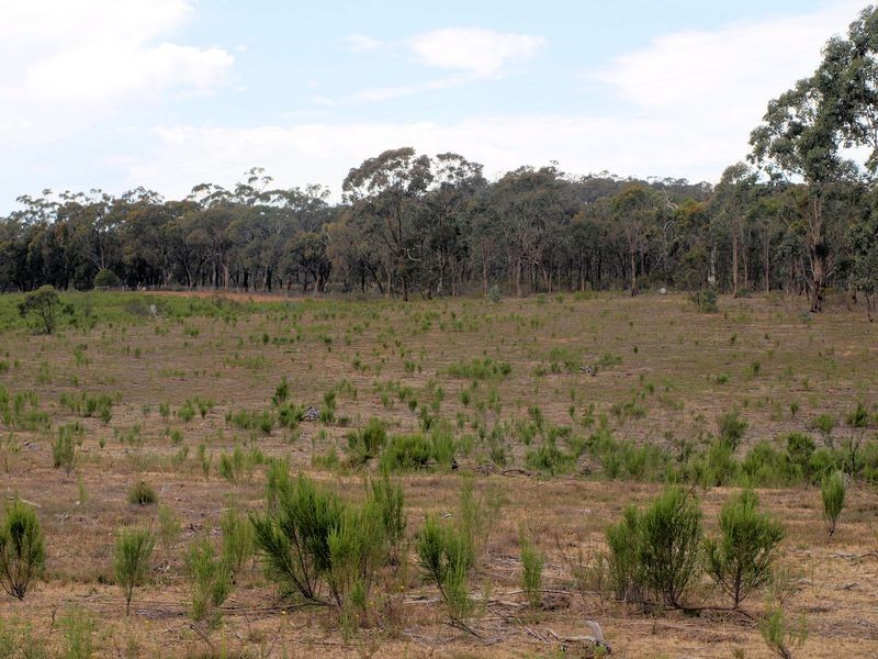 Lot 6 Warrowitue-Forest Rd, Heathcote VIC 3523