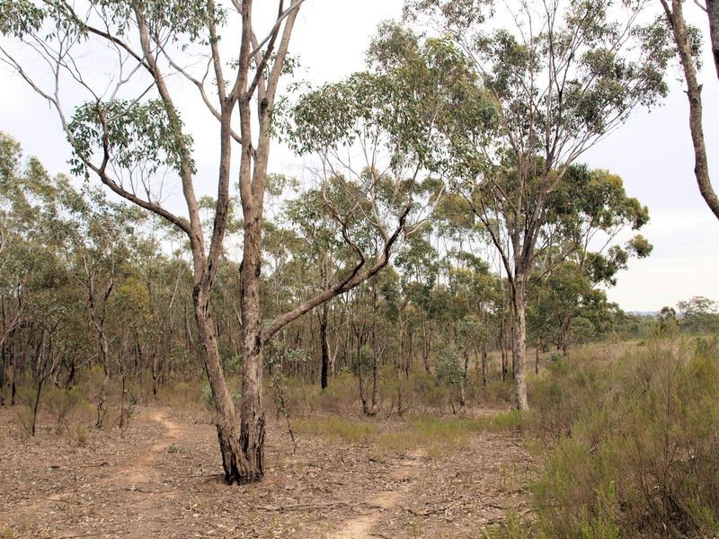 Lot 6 Warrowitue-Forest Rd, Heathcote VIC 3523