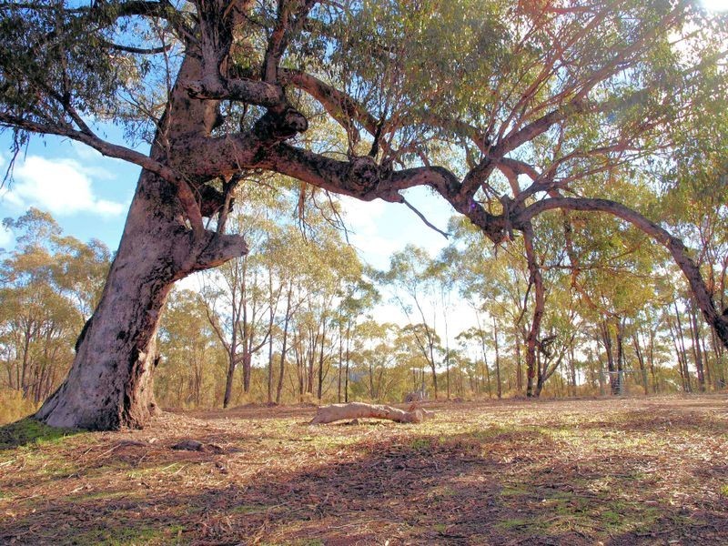 343 Dealba Road, Heathcote VIC 3523