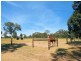 97 Dealba Road, Heathcote VIC 3523