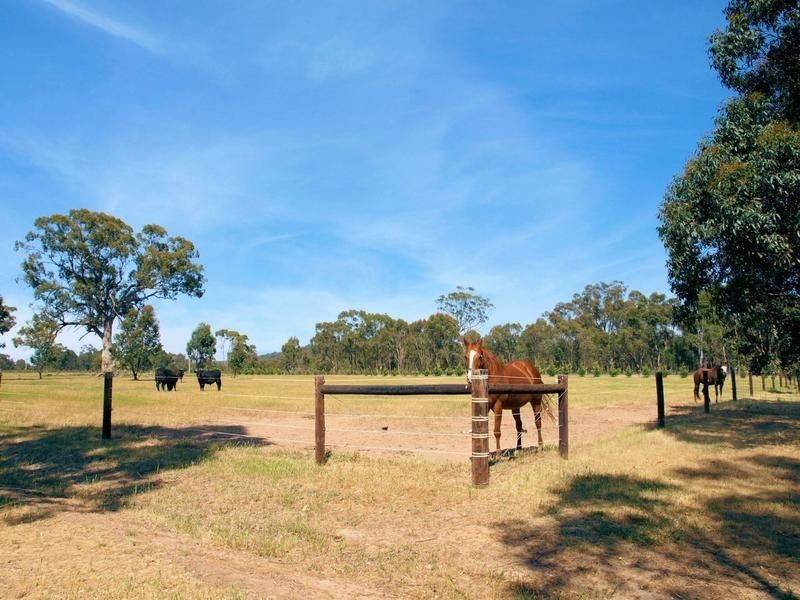 97 Dealba Road, Heathcote VIC 3523