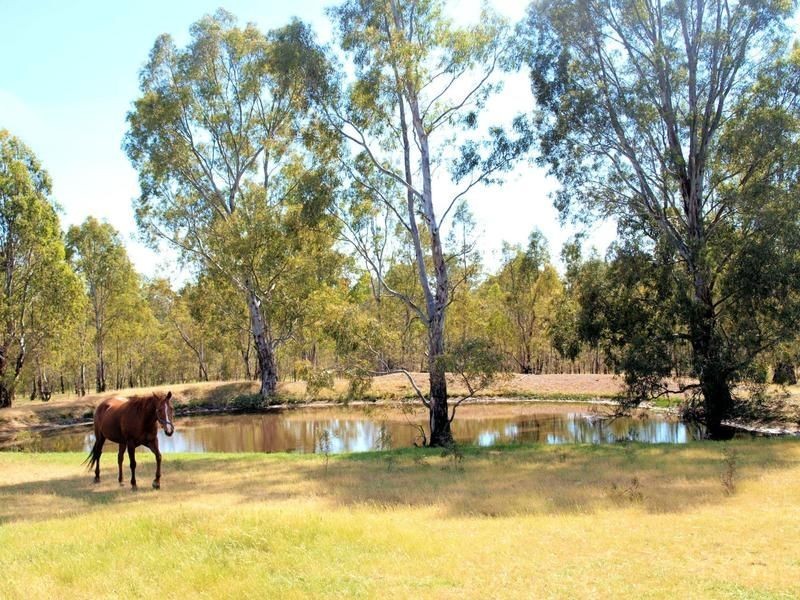 97 Dealba Road, Heathcote VIC 3523