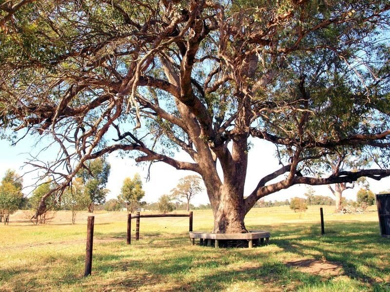 97 Dealba Road, Heathcote VIC 3523