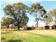 97 Dealba Road, Heathcote VIC 3523