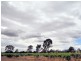 470 Heathcote – North Costerfield Rd, Heathcote VIC 3523