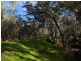 Lot 6 O’Briens Lane, Axedale VIC 3551