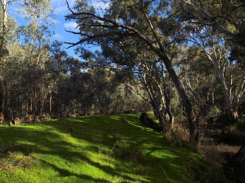 Lot 6 O’Briens Lane, Axedale VIC 3551