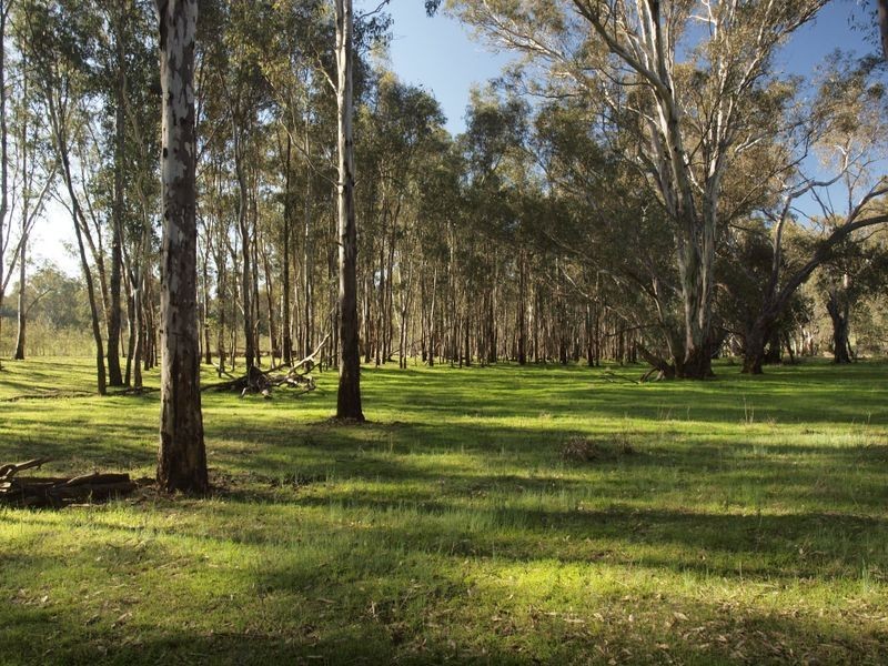 Lot 6 O’Briens Lane, Axedale VIC 3551