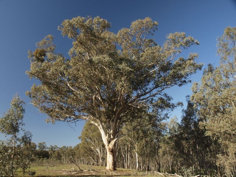 Lot 6 O’Briens Lane, Axedale VIC 3551