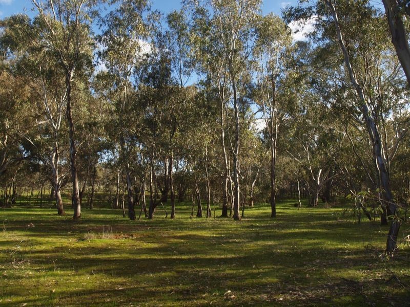 Lot 6 O’Briens Lane, Axedale VIC 3551
