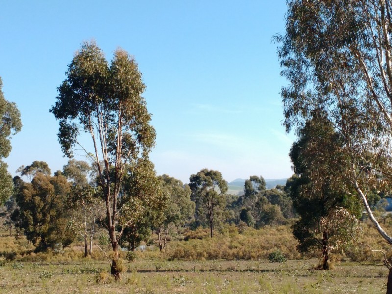 36 Connell Court, Heathcote VIC 3523