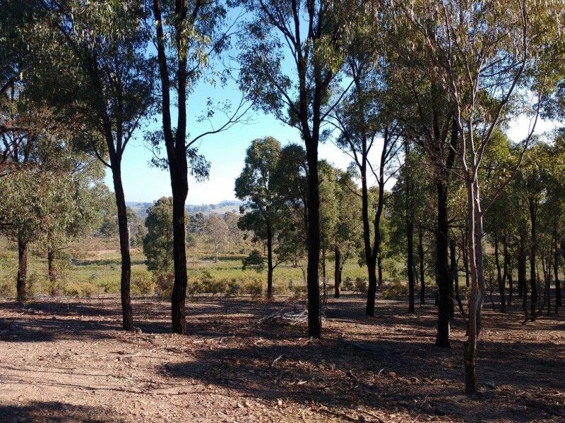 36 Connell Court, Heathcote VIC 3523