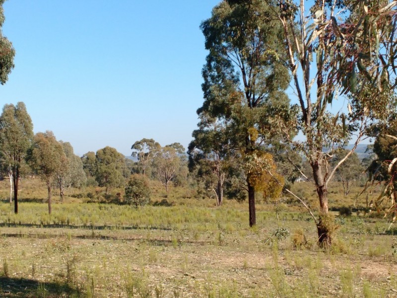 36 Connell Court, Heathcote VIC 3523