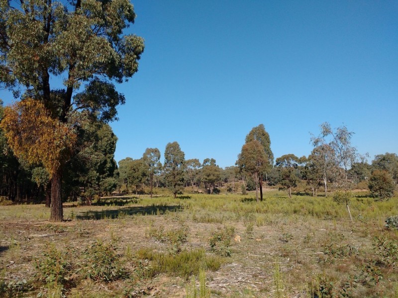 36 Connell Court, Heathcote VIC 3523