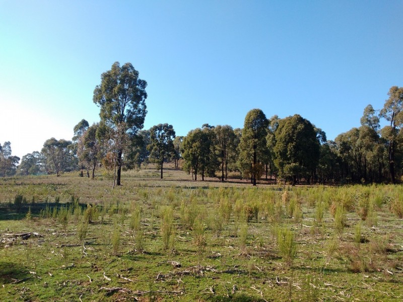 36 Connell Court, Heathcote VIC 3523