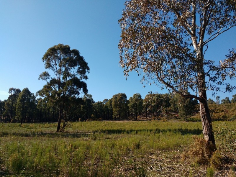 36 Connell Court, Heathcote VIC 3523