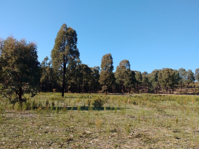 36 Connell Court, Heathcote VIC 3523