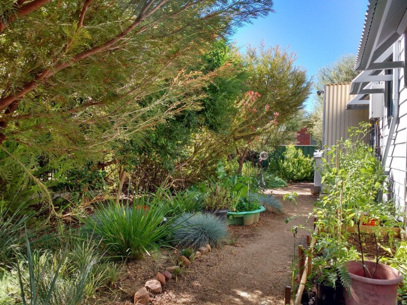 44 Chauncey Street, Heathcote VIC 3523