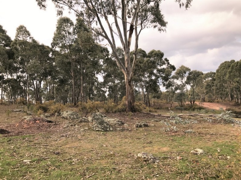 Lot 17B Pinpandoor Rd, Axedale VIC 3551