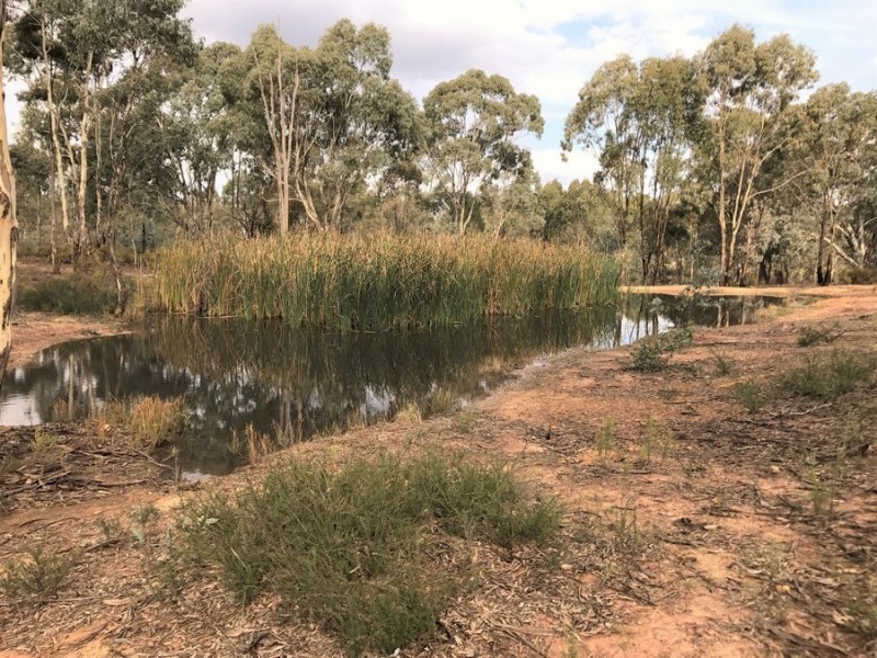 Lot 17B Pinpandoor Rd, Axedale VIC 3551