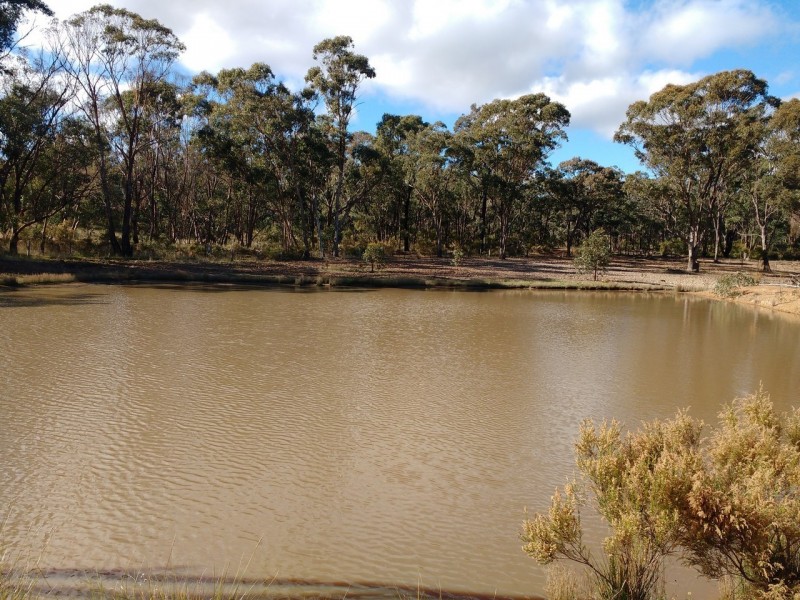 40 Plonk Gully Track, Redcastle VIC 3523