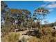 40 Plonk Gully Track, Redcastle VIC 3523