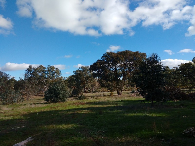 40 Plonk Gully Track, Redcastle VIC 3523