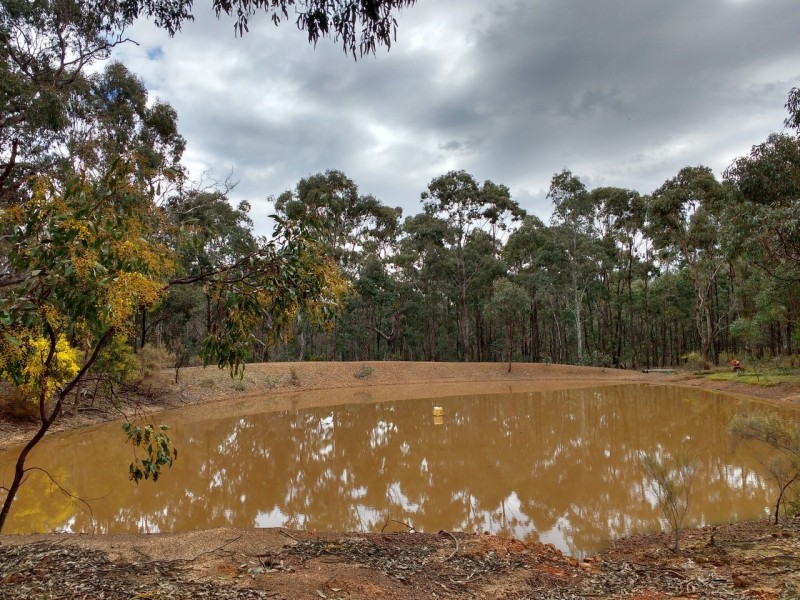 320 Dealba Road, Mount Camel VIC 3523