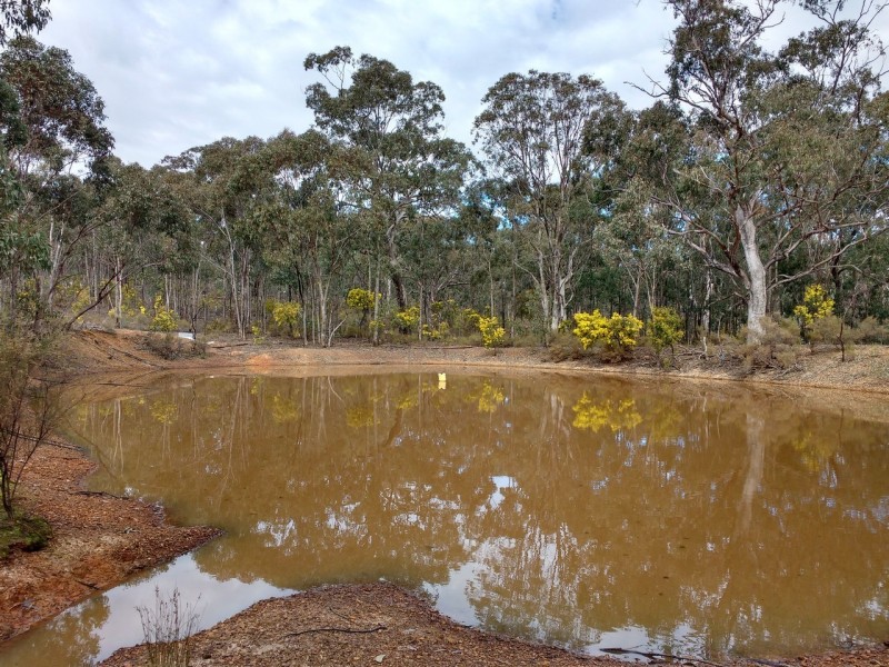 320 Dealba Road, Mount Camel VIC 3523