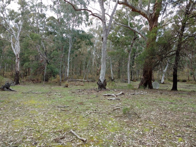 320 Dealba Road, Mount Camel VIC 3523