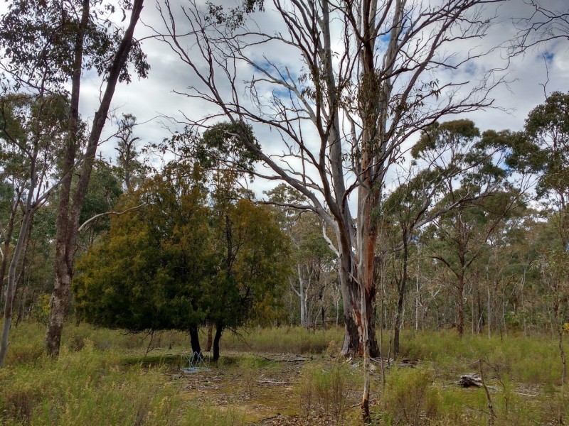 320 Dealba Road, Mount Camel VIC 3523