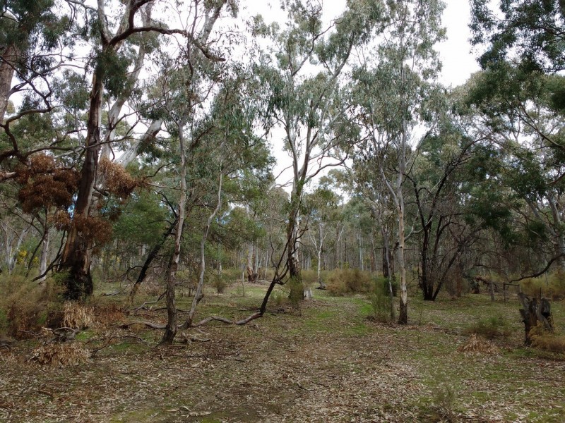 320 Dealba Road, Mount Camel VIC 3523