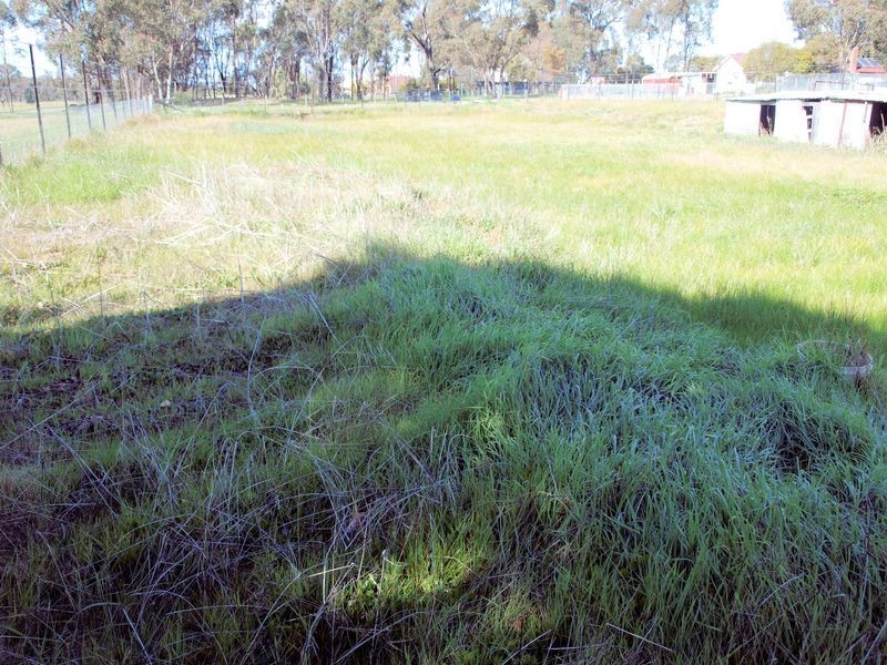 14 Bywater Street, Knowsley VIC 3523