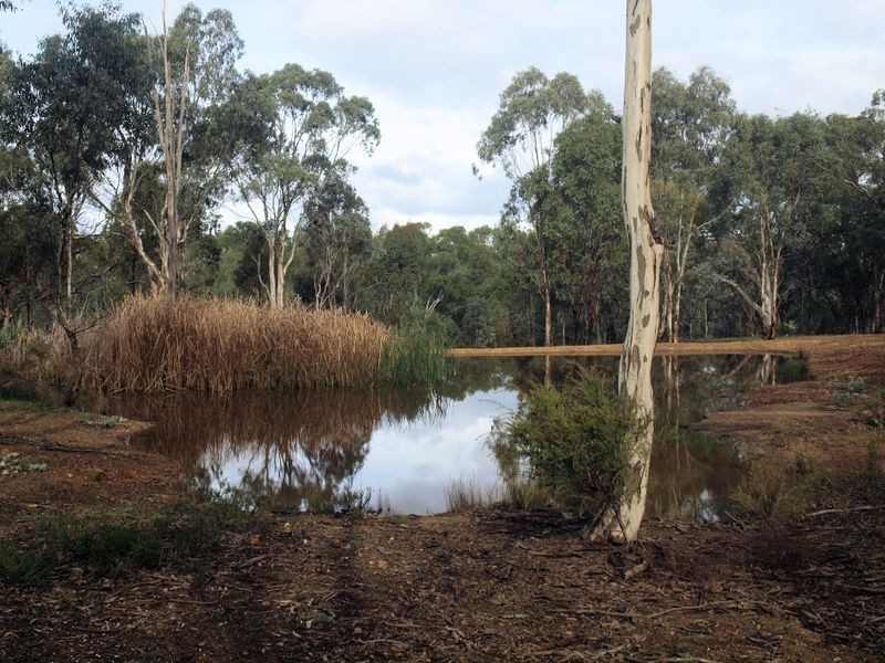 Lot 17B Pinpandoor Road, Axedale VIC 3551