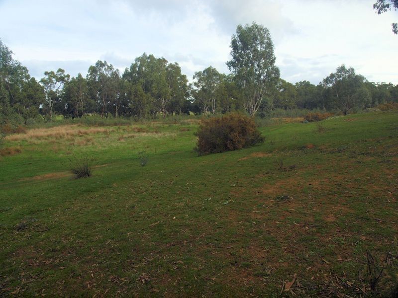 Lot 17B Pinpandoor Road, Axedale VIC 3551