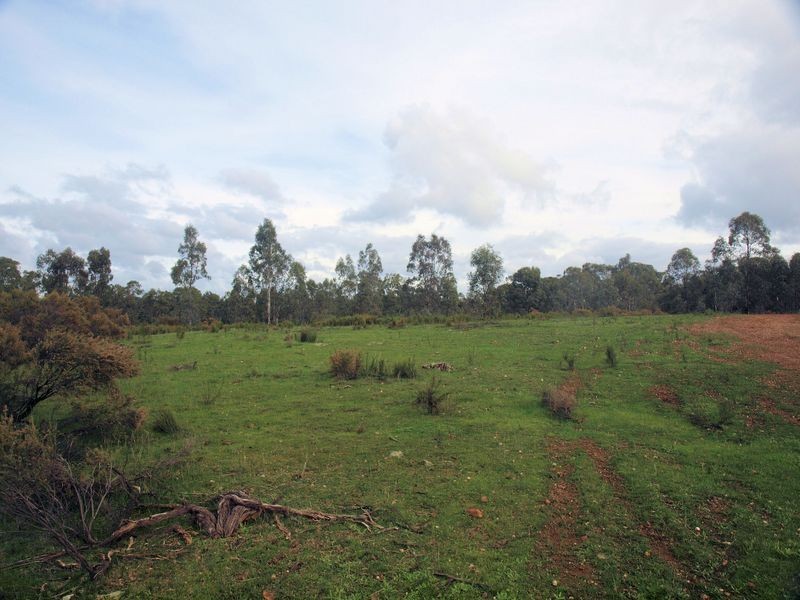Lot 17B Pinpandoor Road, Axedale VIC 3551