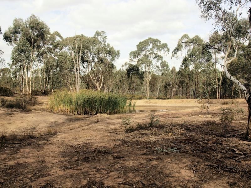 Lot 17B Pinpandoor Road, Axedale VIC 3551