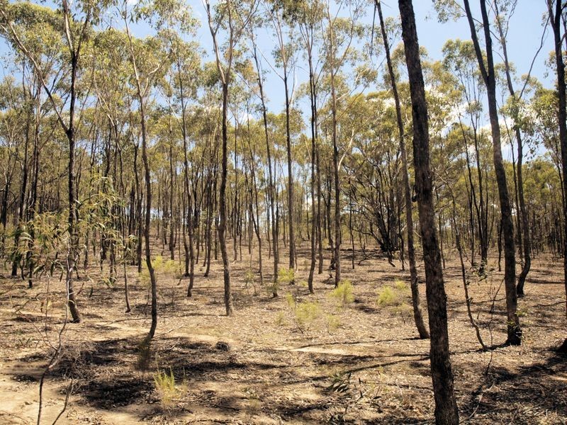 Lot 28 Dealba Road, Heathcote VIC 3523