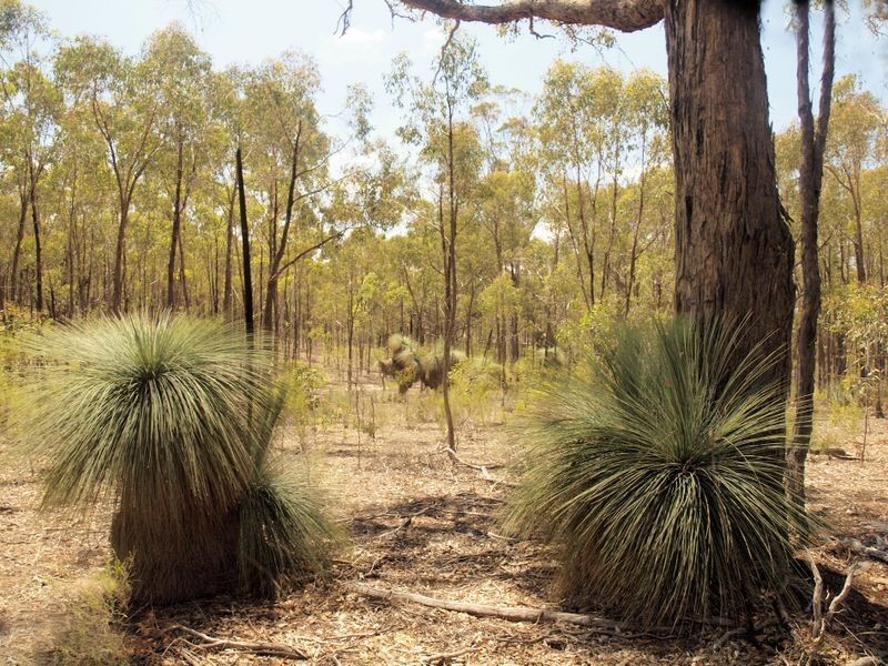 Lot 28 Dealba Road, Heathcote VIC 3523