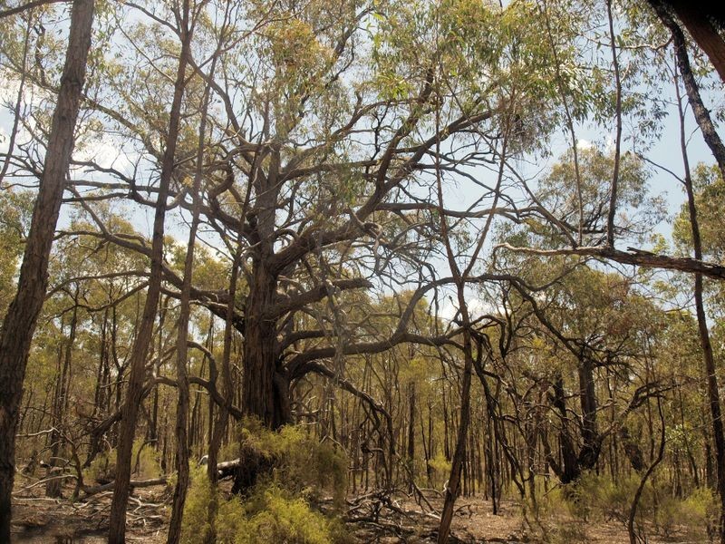 Lot 28 Dealba Road, Heathcote VIC 3523