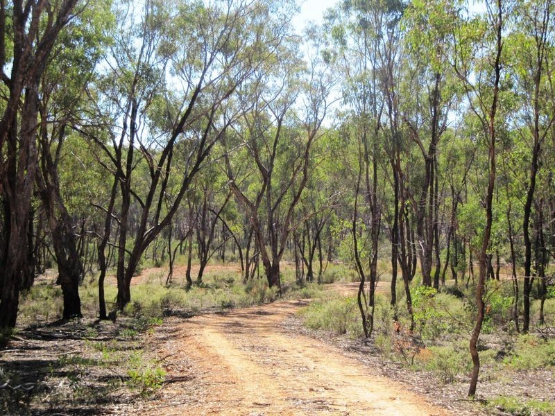 Lot 30 Pinpandoor Road, Axedale VIC 3551