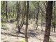Lot 30 Pinpandoor Road, Axedale VIC 3551