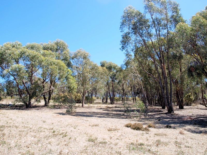 210 Hall Road, Heathcote VIC 3523